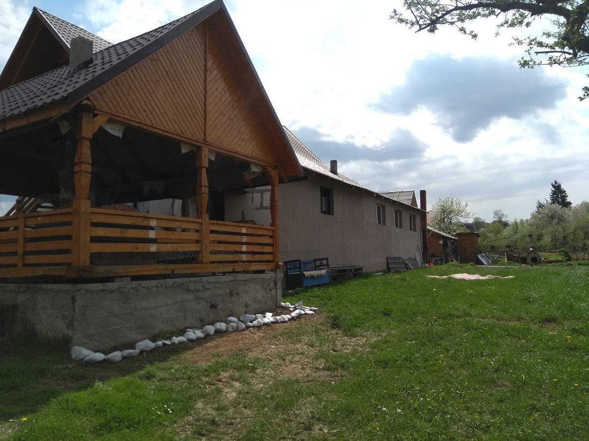 Pensiune Agroturistica "Casa Teodora" Budeşti Εξωτερικό φωτογραφία