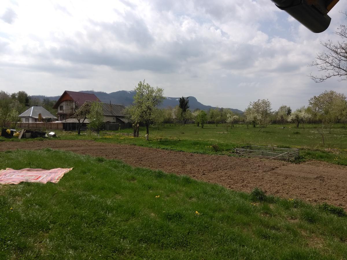 Pensiune Agroturistica "Casa Teodora" Budeşti Εξωτερικό φωτογραφία