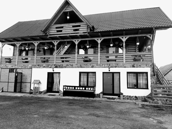 Pensiune Agroturistica "Casa Teodora" Budeşti Εξωτερικό φωτογραφία
