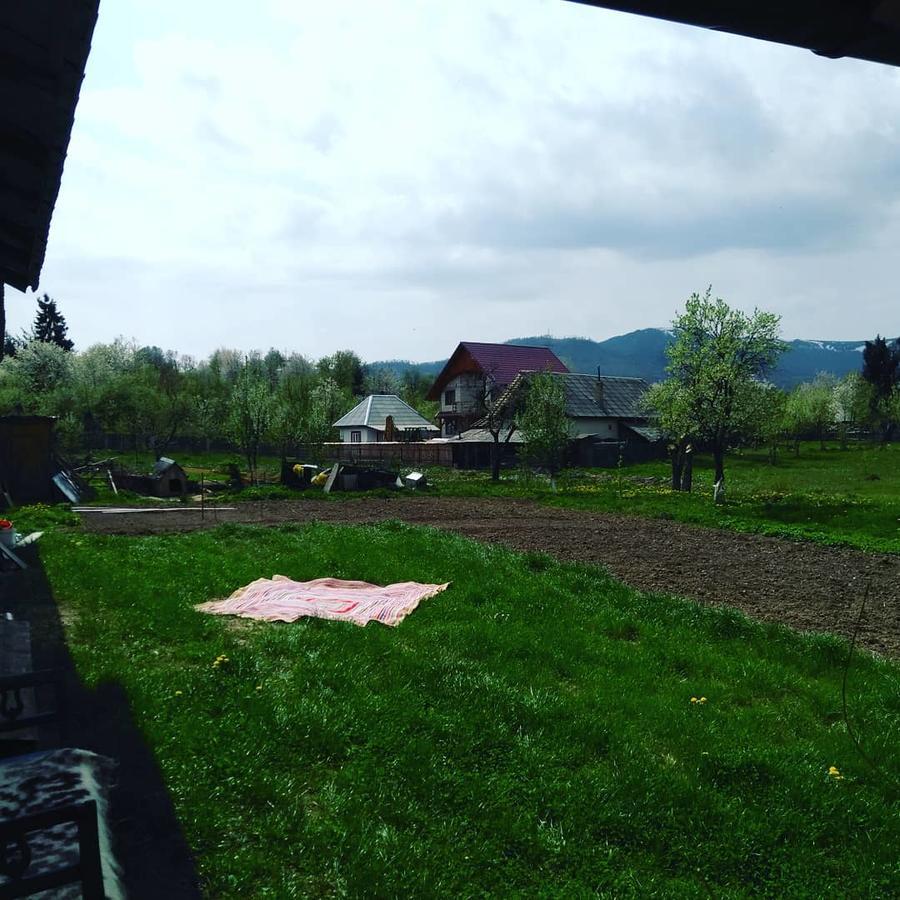 Pensiune Agroturistica "Casa Teodora" Budeşti Εξωτερικό φωτογραφία